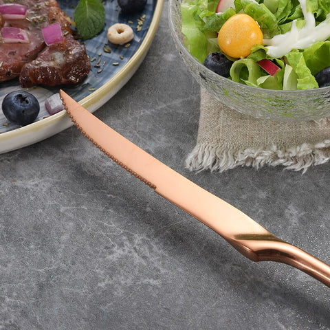 6-Piece Stainless Steel Steak Knife 6-Piece Stainless Steel Steak Knife